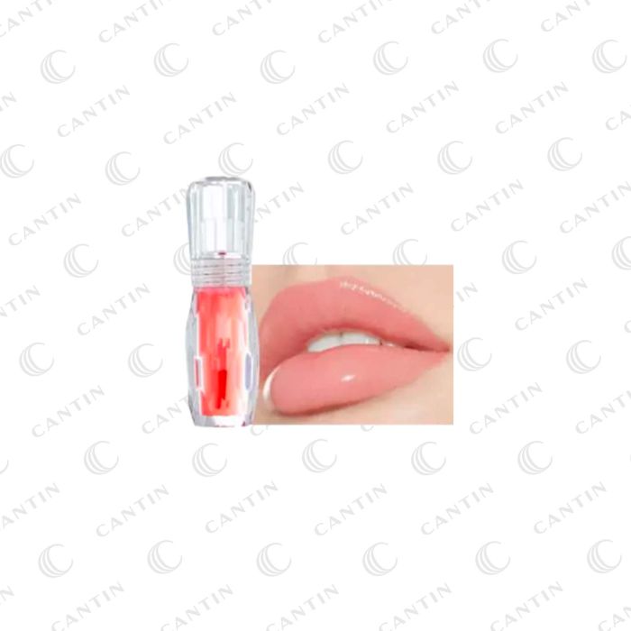 GLOSS LIPTONIIC (MOISTURIZING & PLUMPING) #02 KPBeaute